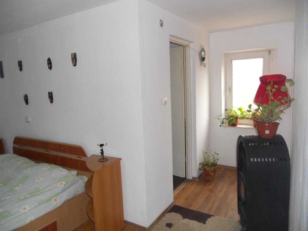 Cuibul Salamandrelor Hotel Sarmizegetusa Ngoại thất bức ảnh